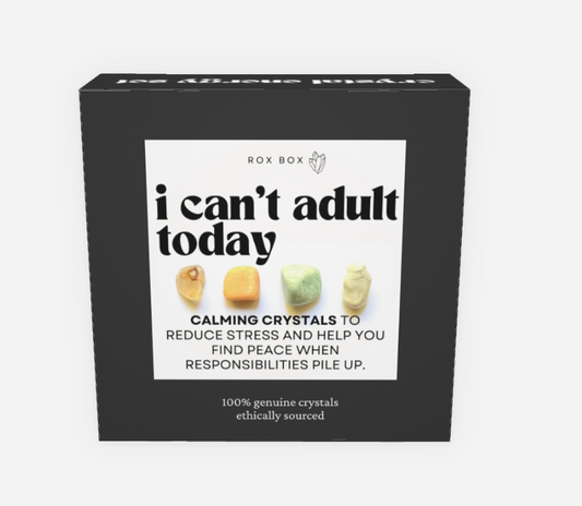 I can’t adult today - crystal gift for stress reduction | cheeky gift funny gift