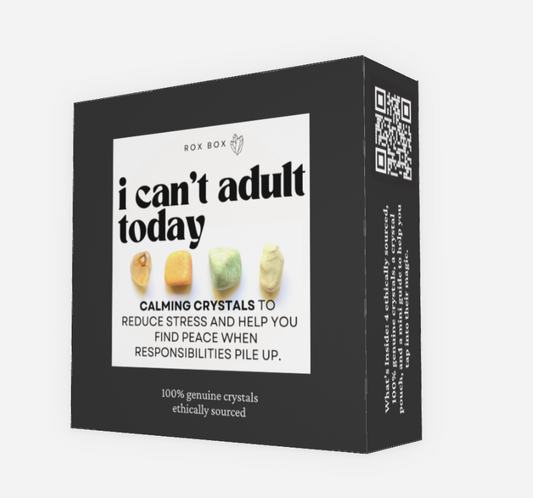 I can’t adult today - crystal gift for stress reduction | cheeky gift funny gift