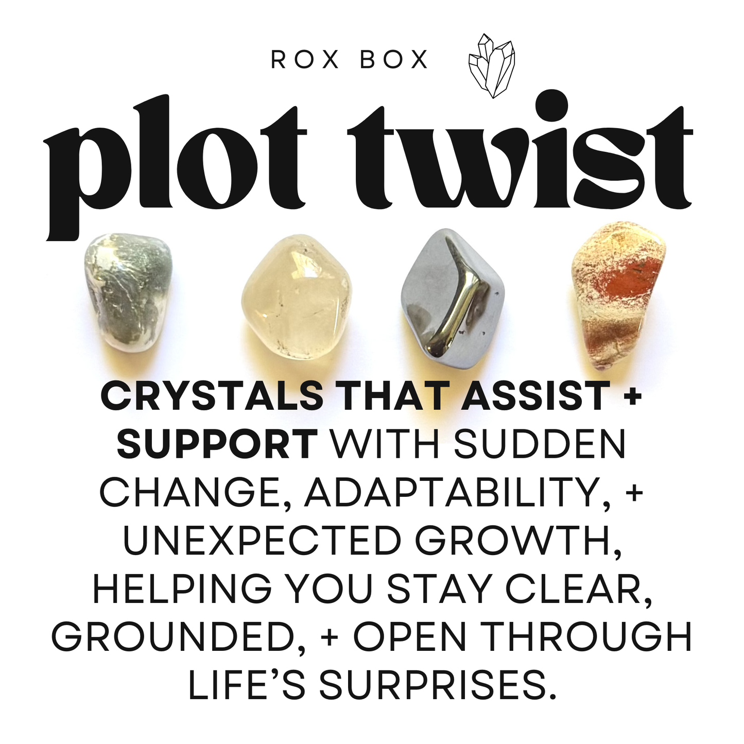 plot twist - crystal gift for flexibility - cheeky gift funny gift