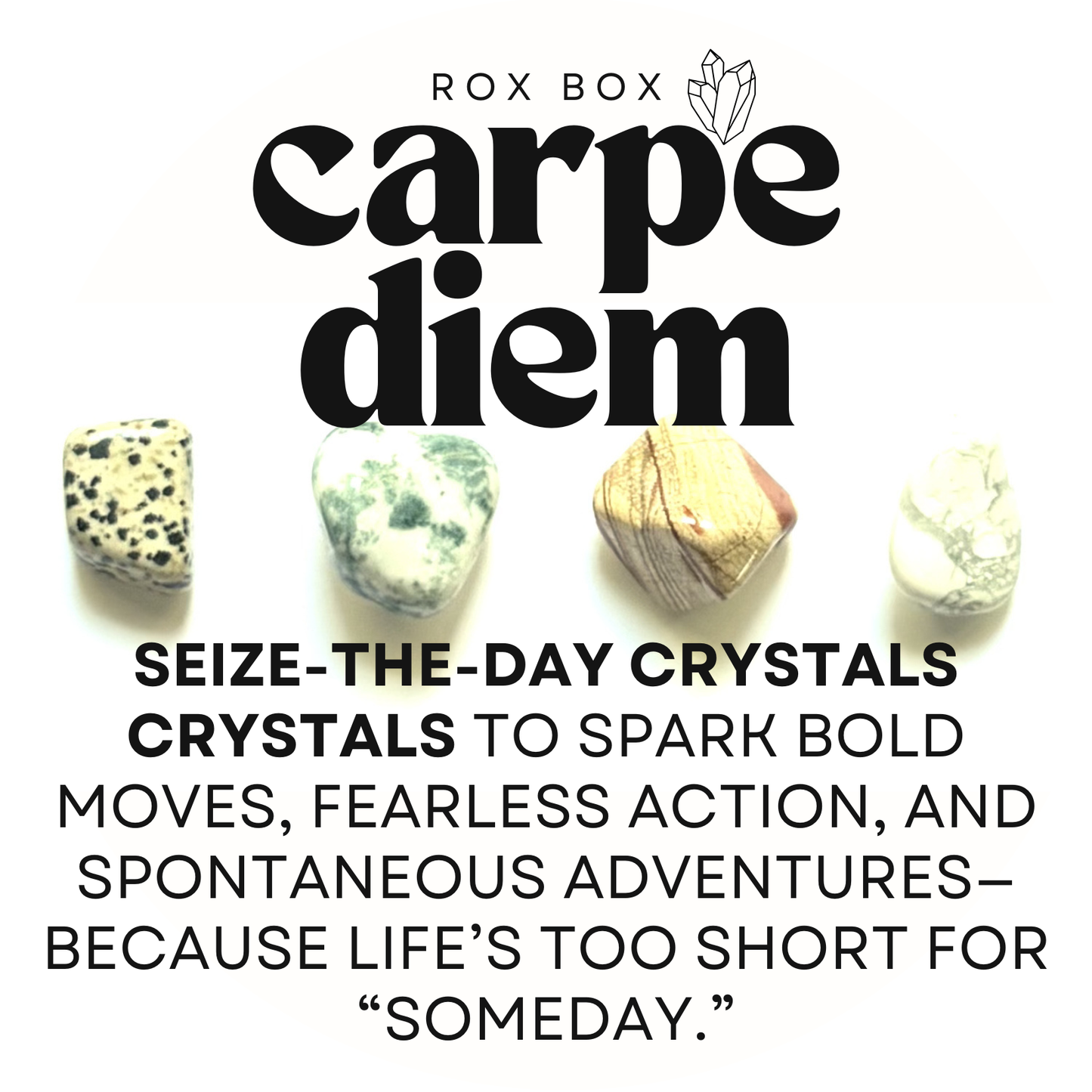 carpe diem - crystals for bold moves - fun cheeky gift